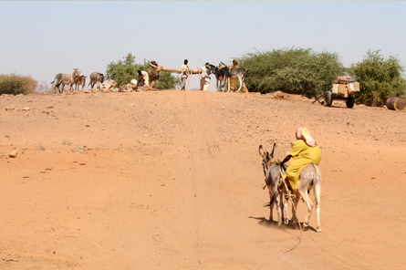 Sudan-main-picture2.png 